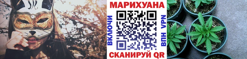 Купить закладки  Карачаевск  Бошки марихуана план 